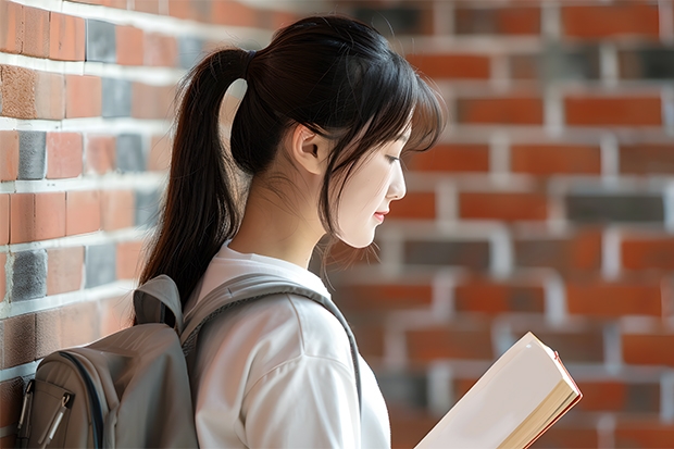 大学里的壁画专业具体是学什么的?