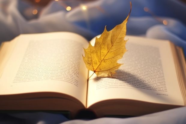 闽南师范大学经济学专业分数线是多少(近三年分数线一览)