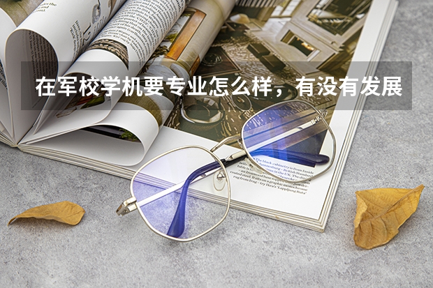 在军校学机要专业怎么样，有没有发展前景？